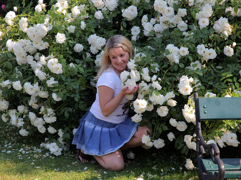 Глазами очевидцев: белые розы в саду Бурггартен. Вена